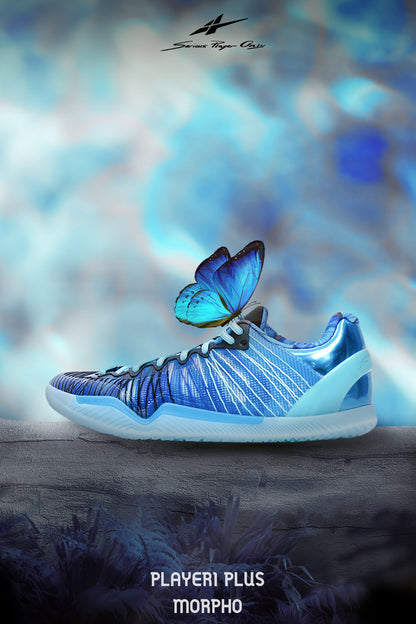 Player1 Plus Morpho