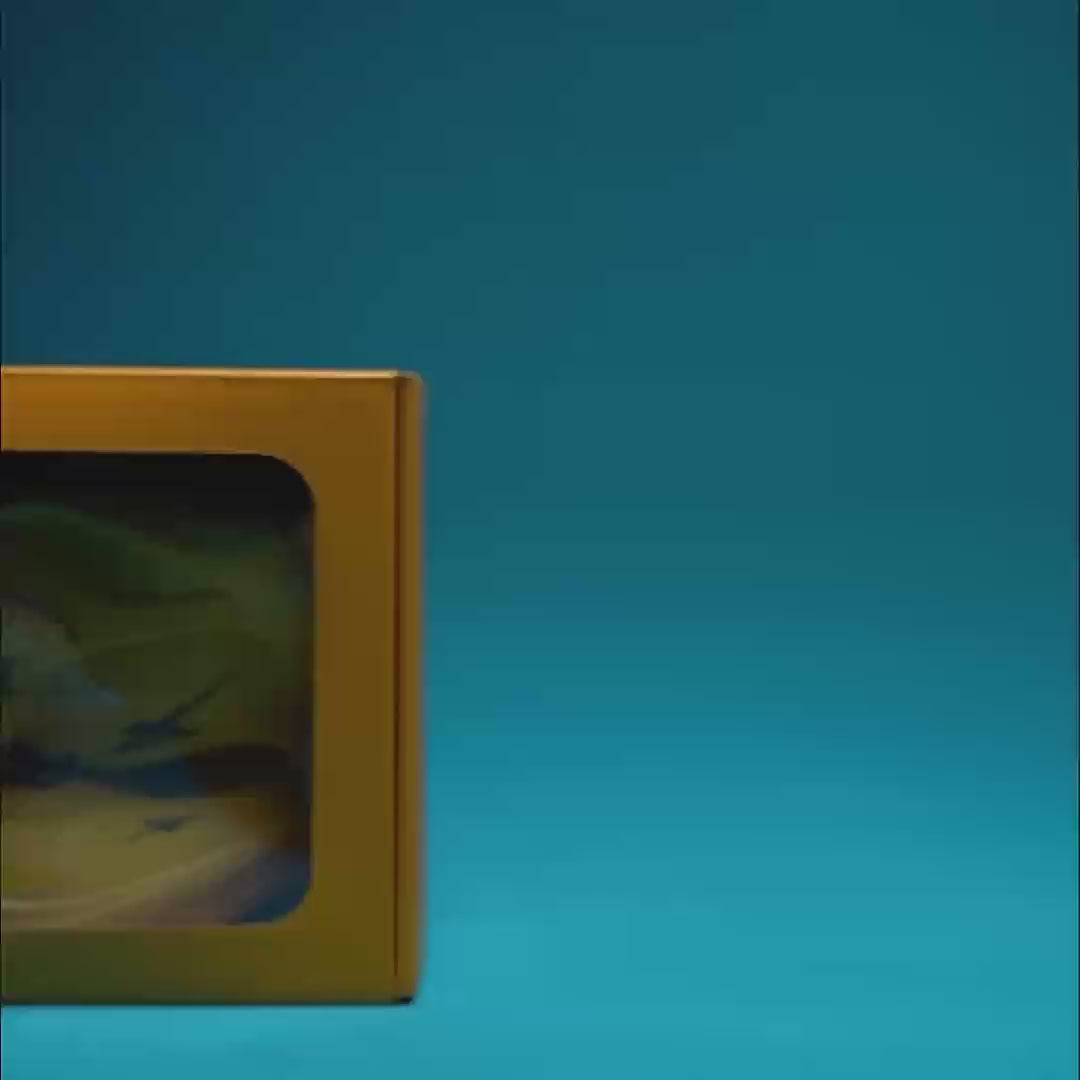 Load video: 